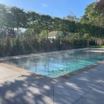 pleached tree pool screening